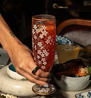 aderia barware catalog img