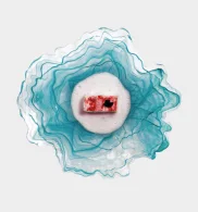 pura sangre tableware catalog img